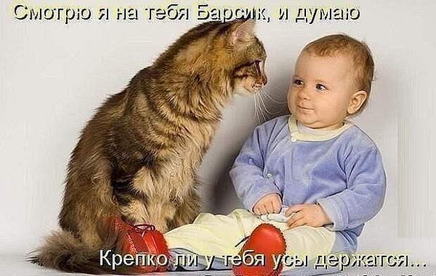 Прикольные картинки