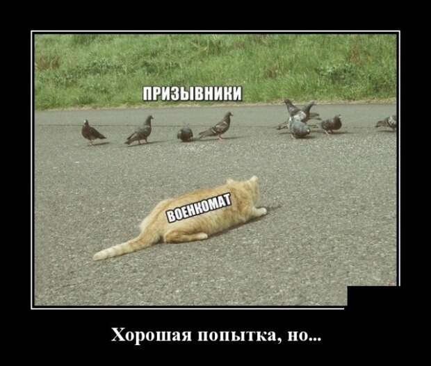 Демотиваторы (30 фото)