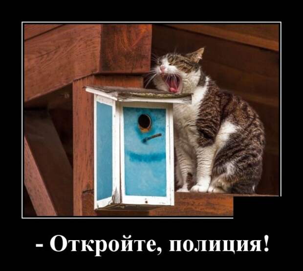 Демотиваторы (30 фото)