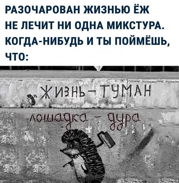 интересные фото на pixmafia.com