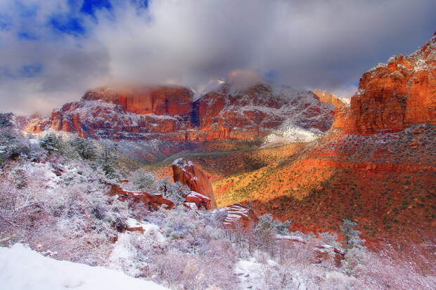 NewPix.ru - Фотограф Kevin McNeal - Zion National Park