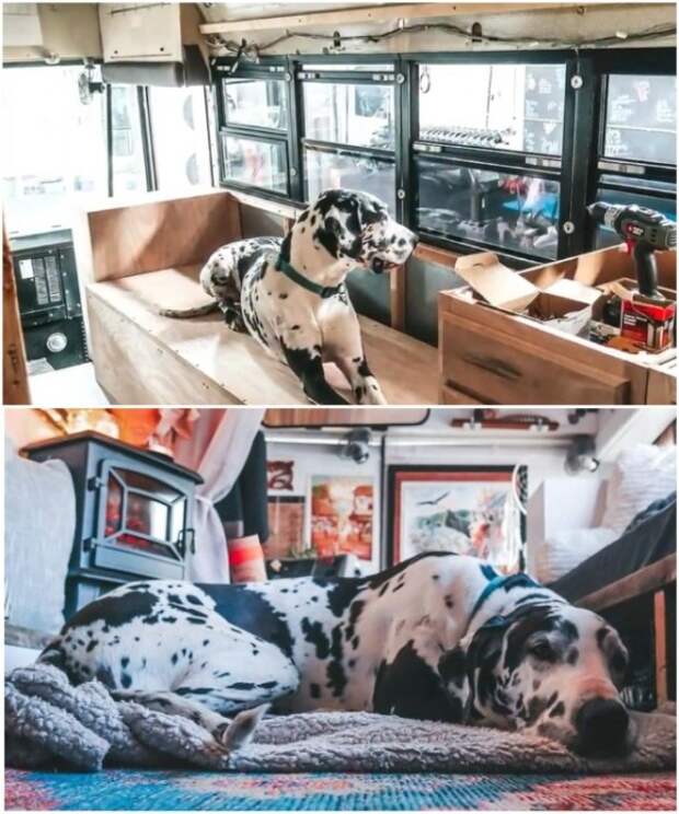 И для домашнего любимца пса Аполлона тоже нашлось местечко. | Фото: instagram.com/ sincewewokeup.
