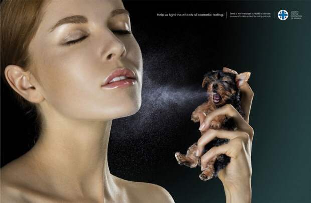 рекламные кампании о животных раскрывающие правду (62)