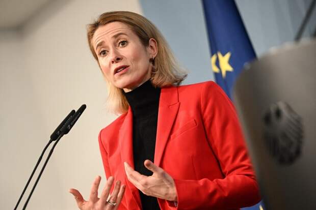 Глава евродипломатии перепутала министра обороны Германии с депутатом