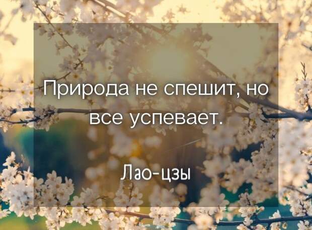 цитаты о весне