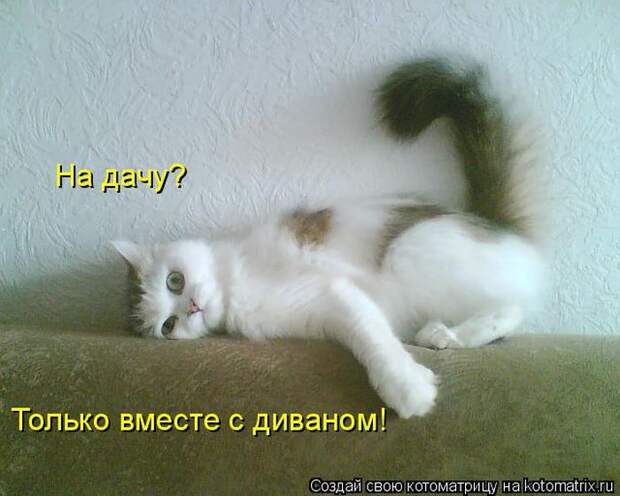 Забавные котоматрицы
