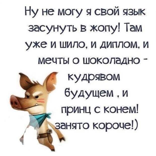 Прикольные картинки-21 фото-