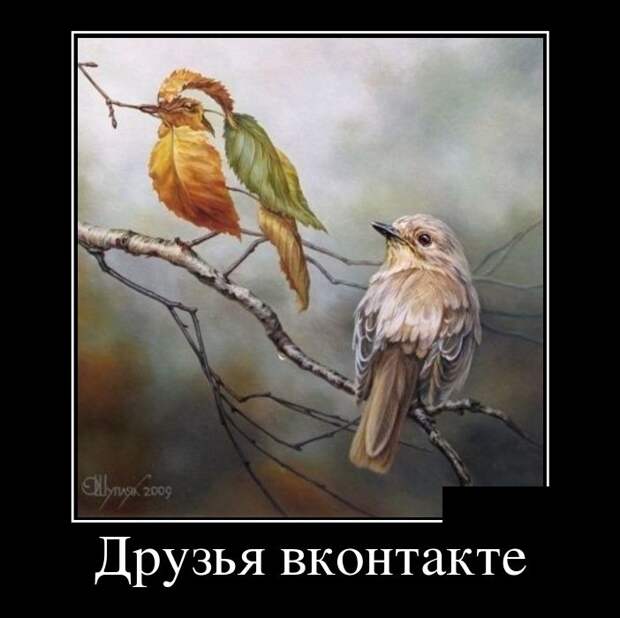 Демотиваторы (30 фото)