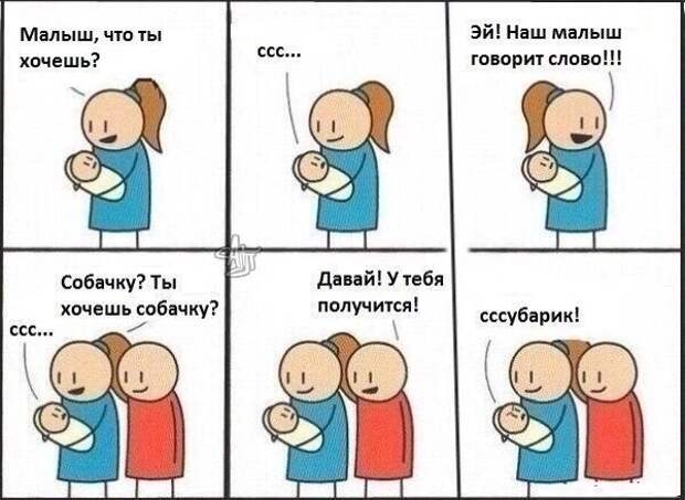 Подборка автоприколов. Часть 151 