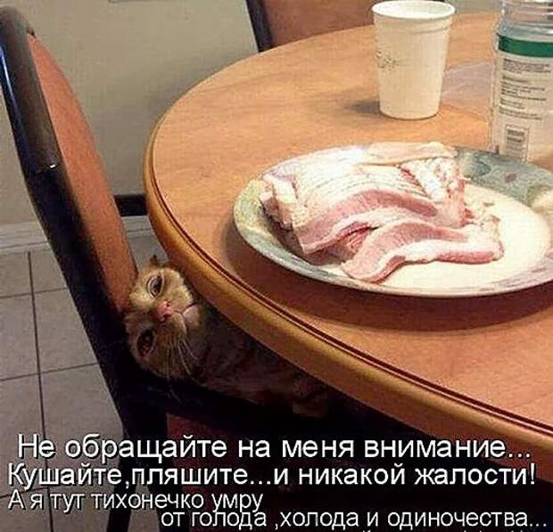 229f9e1f5d233a3ff0b5e978a27_prev