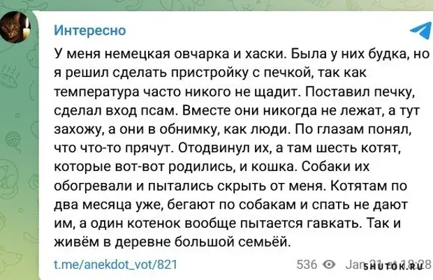 как понять что ты нравишься парню по переписке. как влюбить в себя пт переписке. как понять влюбился по переписке. влюбился по переписке в девушку. влюбленные переписки.