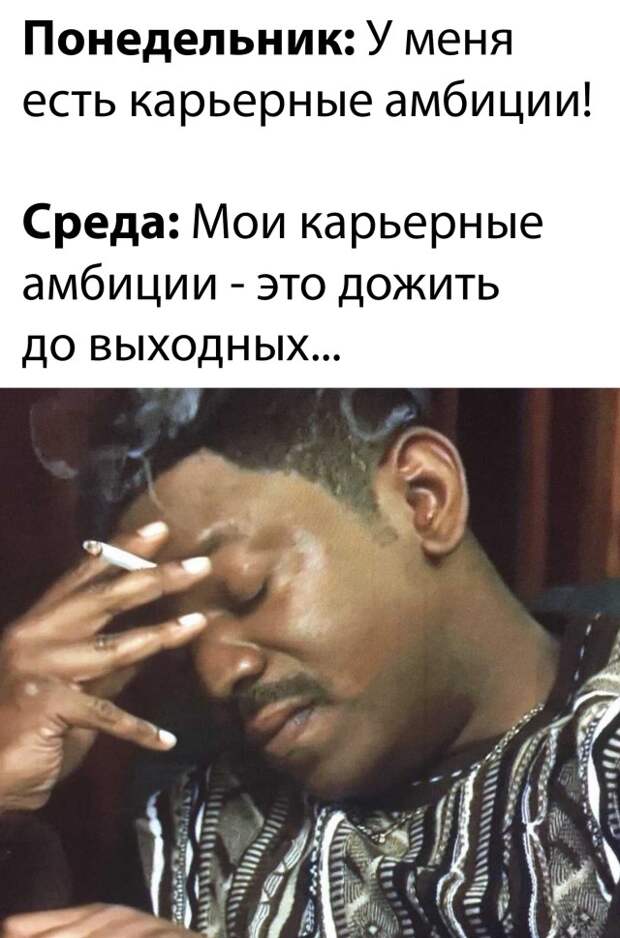 Смешные картинки 16 декабря 2021 года