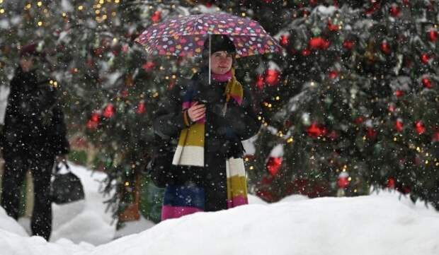 Облачная погода и до 14 градусов мороза ожидаются в Москве 24 января