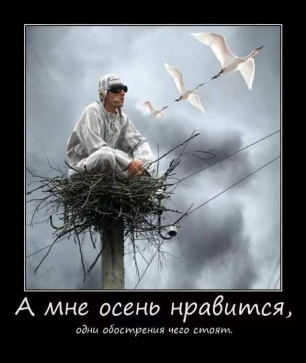 Демотиваторы. Подборка chert-poberi-dem-chert-poberi-dem-47020919052020-15 картинка chert-poberi-dem-47020919052020-15