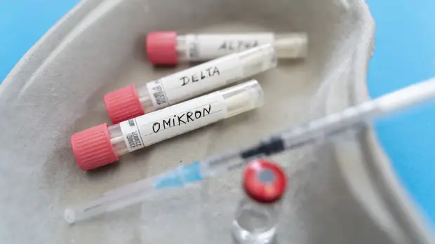 Гинцбург заявил, что «омикрон» не станет заключительным штаммом коронавируса