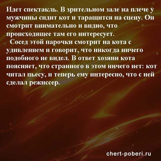 Самые смешные анекдоты ежедневная подборка chert-poberi-anekdoty-chert-poberi-anekdoty-29540230082020-14 картинка chert-poberi-anekdoty-29540230082020-14