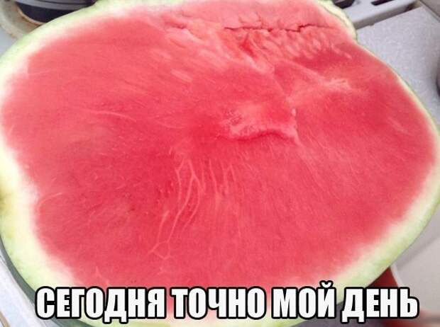 Смешные картинки с надписями прикол, юмор