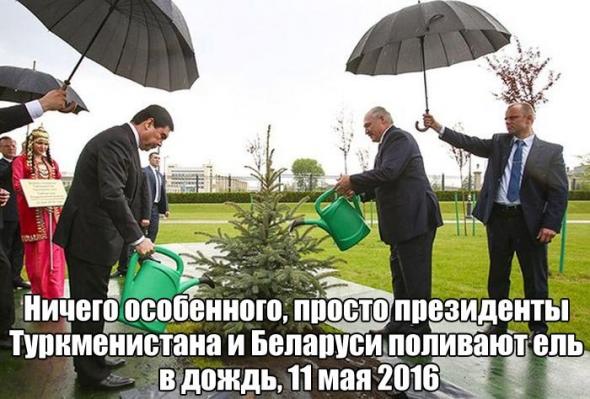 Картинки, юмор, приколы