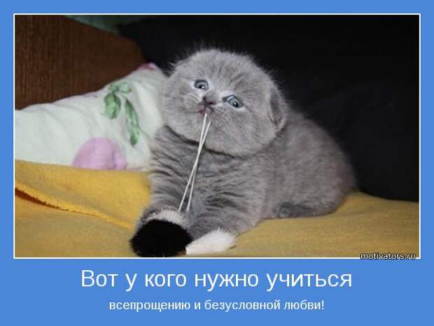 Любовь и Благодарность.jpg3 Любовь и Благодарность