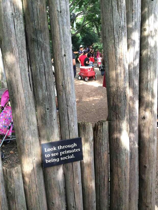 10+ Funny Zoo Signs Which Probably Have Some Incredible Stories Behind Them