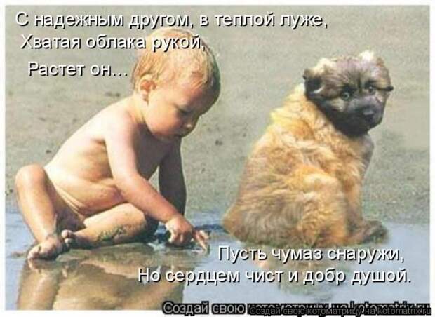 Лучшие котоматрицы недели (50 фото)