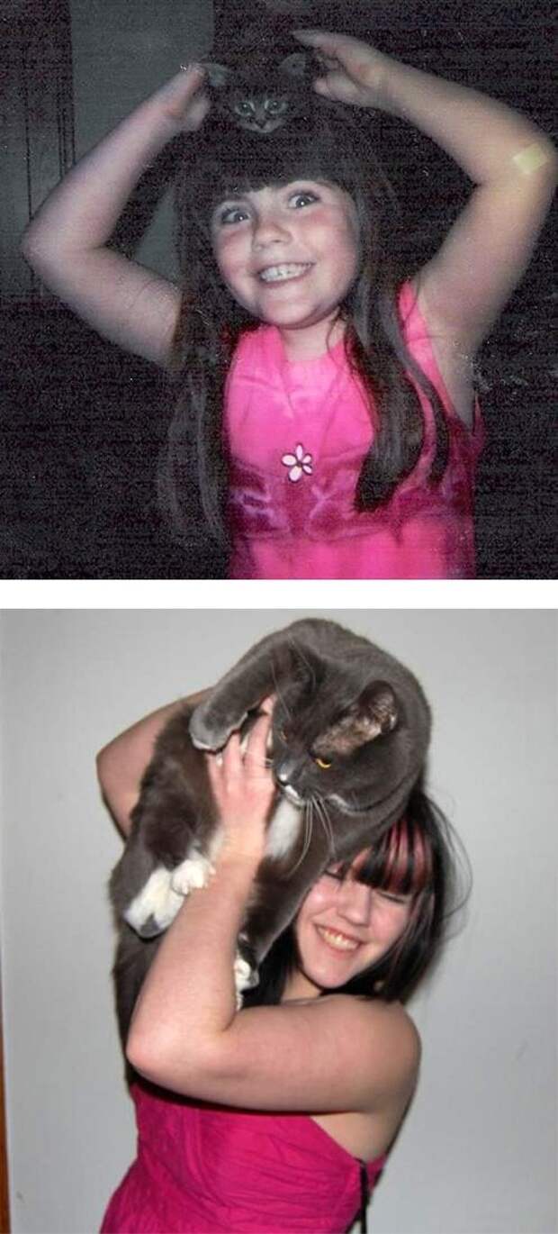 Кошки – тогда и сейчас
