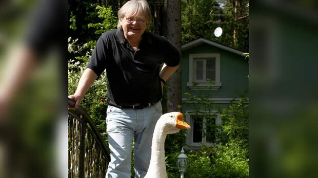 Звёзды-фермеры