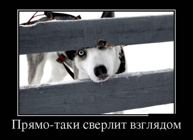 Забавные и веселые демотиваторы для настроения (11 фото) Забавные и веселые демотиваторы для настроения (11 фото)