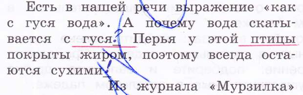 У реки колодца не копают поговорка