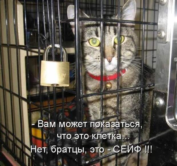 Мысли вслух :)