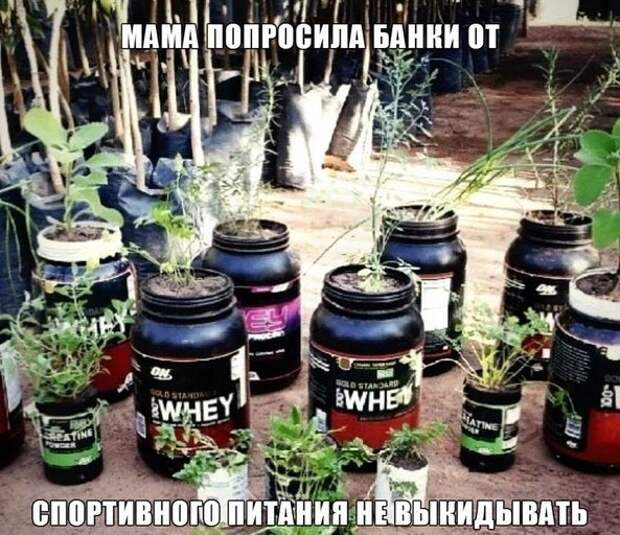 Польза спортпита на лицо!) Польза спортпита на лицо!) жизненно, прикол, рассада