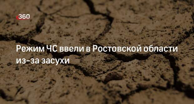 Губернатор Голубев: в Ростовской области действует режим ЧС из-за долгой засухи