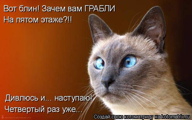 458954486742533baad9c909f3577361 (625x391, 220Kb)