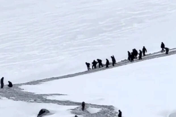 РЕН ТВ: жители Дагестана спасли 11 лошадей из полутораметровых сугробов