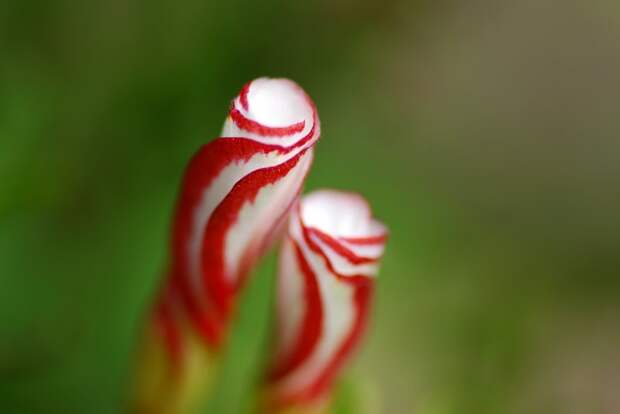 Есть только миг между прошлым и будущем... Есть только миг между прошлым и будущем...