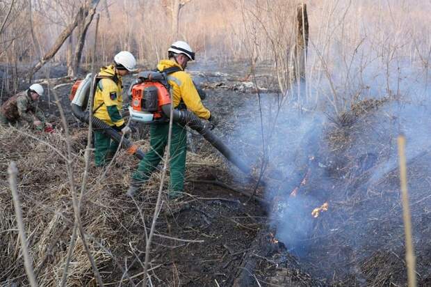 Собственников сельхозземель в Приморье привлекают к ответственности за травяные палы