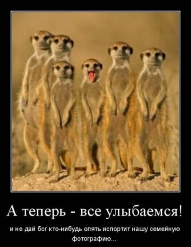 Подборка классных демотиваторов  № 58