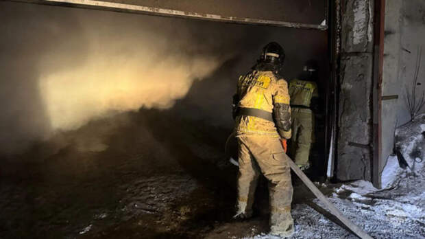 Тушение пожара / Фото: МЧС Алтайского края