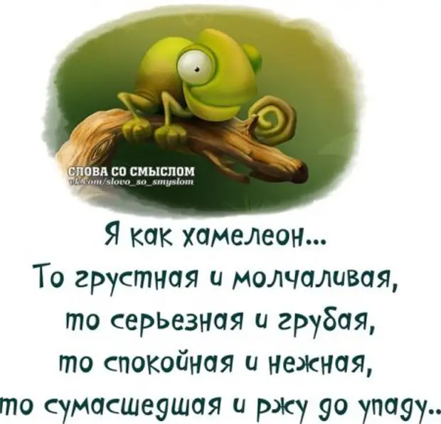 Вот что значит сенсорный телефон... Кот, обнюхивая его, сделал 3 снимка, отправил 5 сообщений и вызвал наряд полиции Вот что значит сенсорный телефон... Кот, обнюхивая его, сделал 3 снимка, отправил 5 сообщений и вызвал наряд полиции значит, месяц, пароль, Сначала, чтонибудь, купить, трусы, Женская, каждым, годомОбъявление, самолете, Пристегните, ремни, готовится, растуды, самолет, фотоаппаратов, посадке, аэропорту, имени