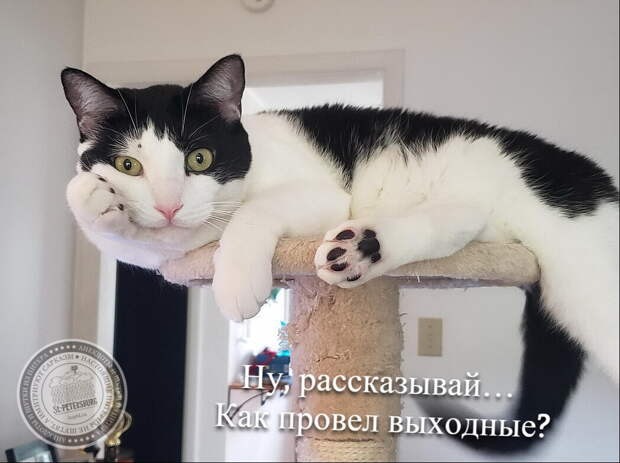 Ну, рассказывай… Как провел выходные?