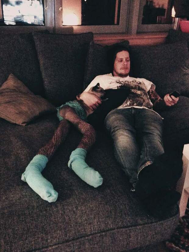 koshkavkolgotkax 10 Мем: Кошка в колготках