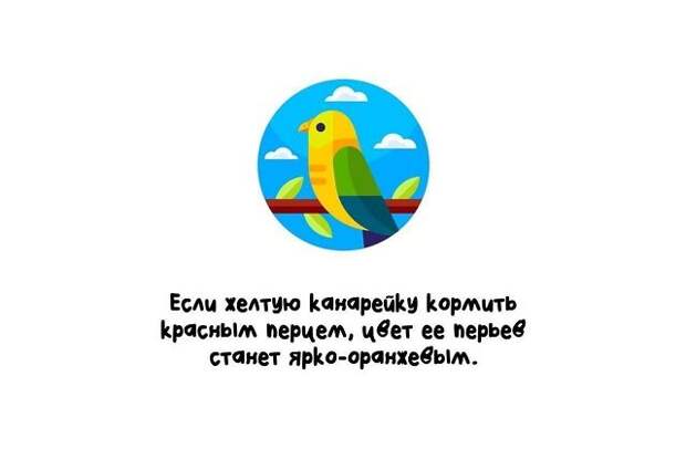 Короткие и интересные факты на все случаи жизни