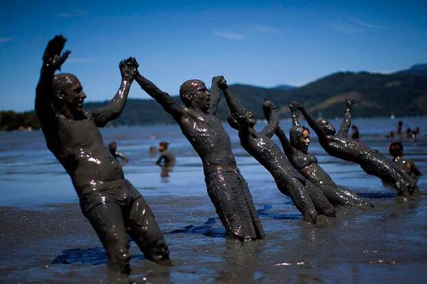 Карнавал в Рио 2012 (53 фото)