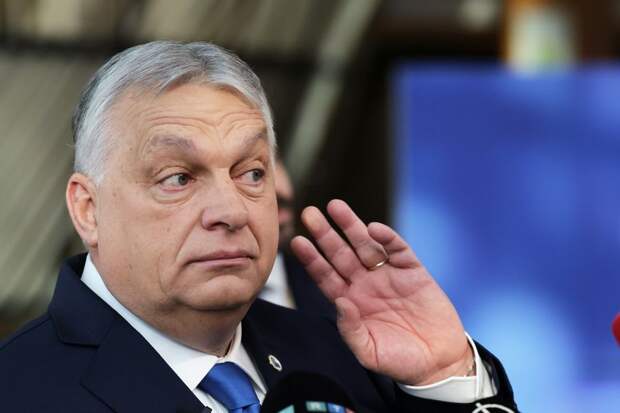 Euractiv: Орбан предпочел размять ноги, пока Зеленский выступал на саммите ЕС