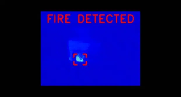 Микробы-сладкоежки смогут помочь в создании автомобильных двигателей будущего