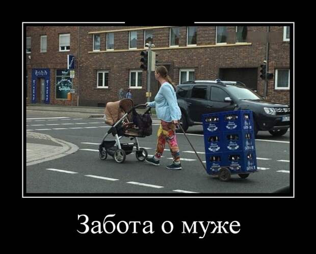 Демотиваторы (30 фото)