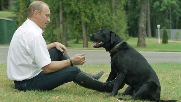 Что может покорить сердце Путина? ввп, путин, собака - друг человека
