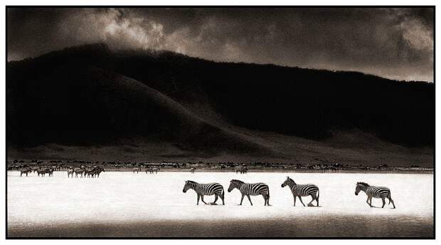 фотографии африки. Nick Brandt