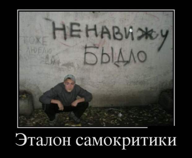 Демотиваторы Демотиваторы