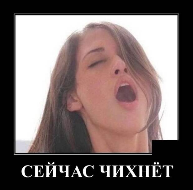 Демотиваторы (20 фото)